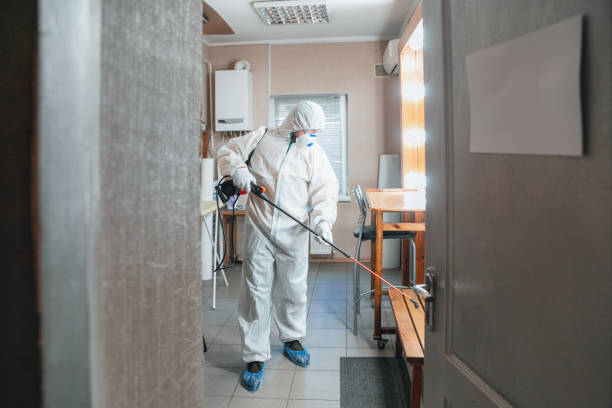 Why You Should Choose Our Mold Remediation Services in Colquitt, GA